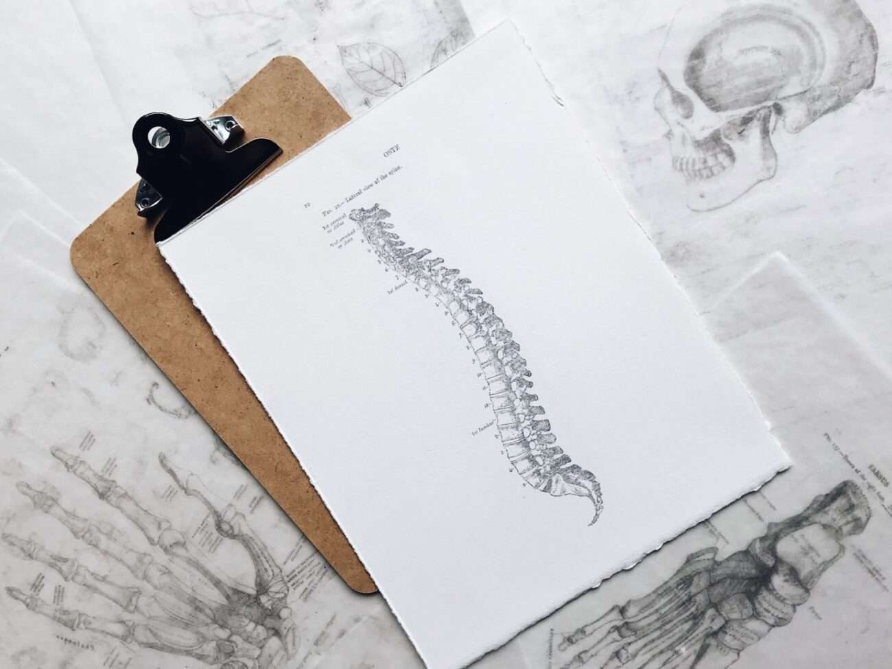 Osteopata osteopatia