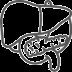 Osteopatia visceral