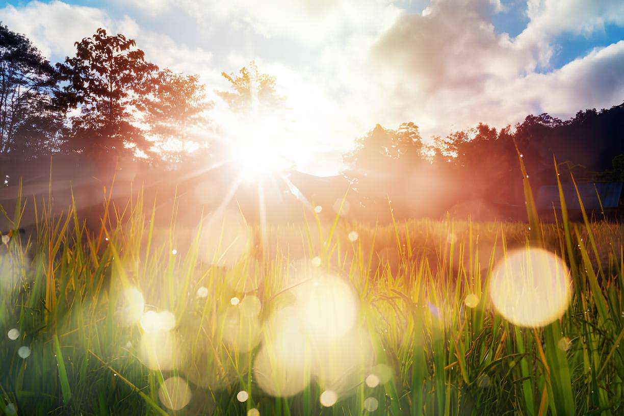 Apanhar sol vitamina D