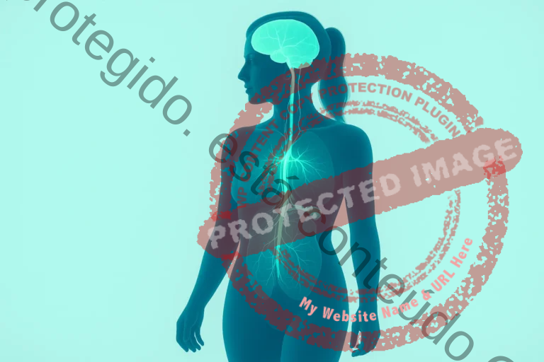 Integrativa Lisboa Nervo Vago Osteopatia